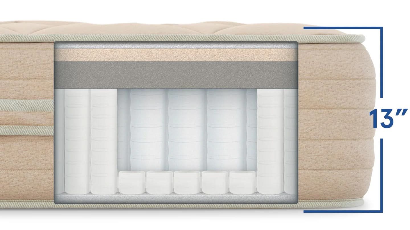 Bear Natural Sale - Image 3