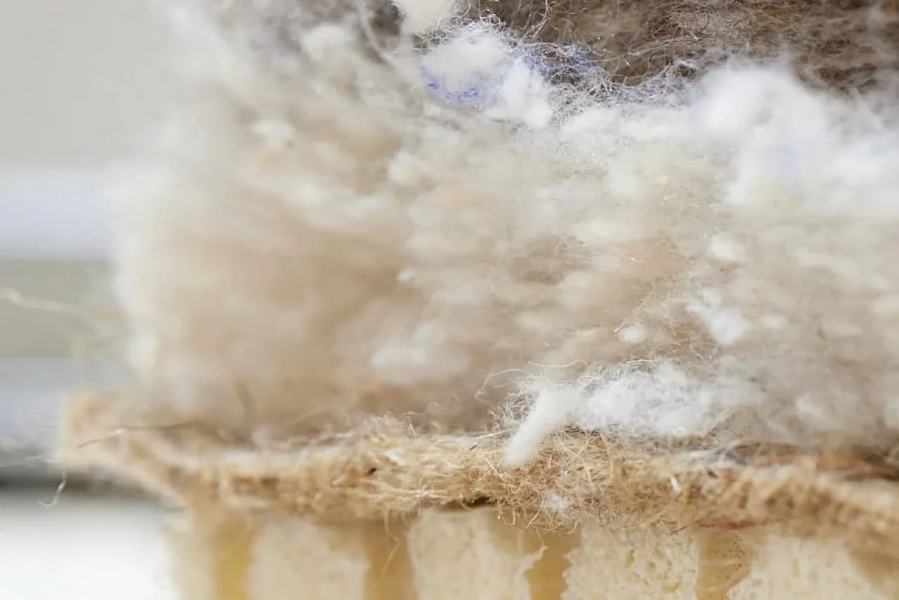 Grand Luxe Series 6,000 - Image 4