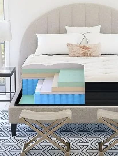 Nolah Evolution - Image 3